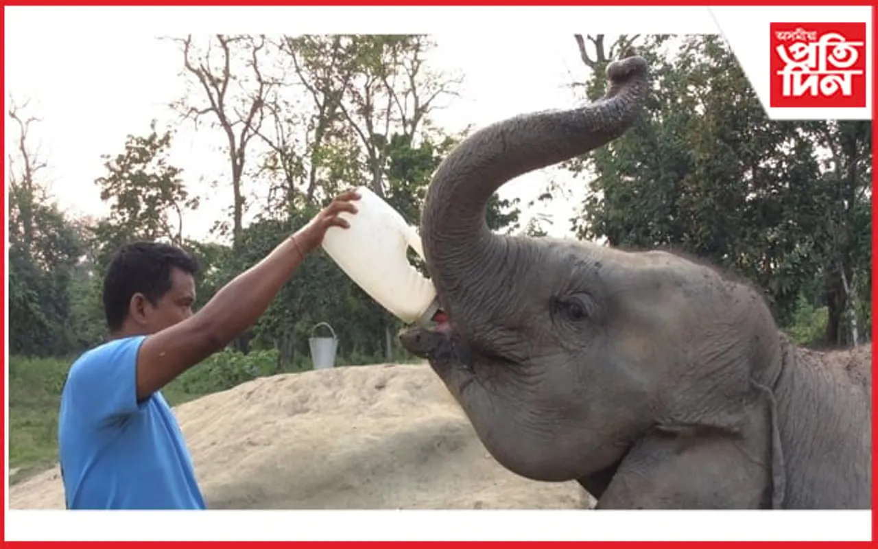 এখন বিশেষ চিকিৎসালয় য'ত প্ৰৱেশ নিষিদ্ধ মানুহৰ