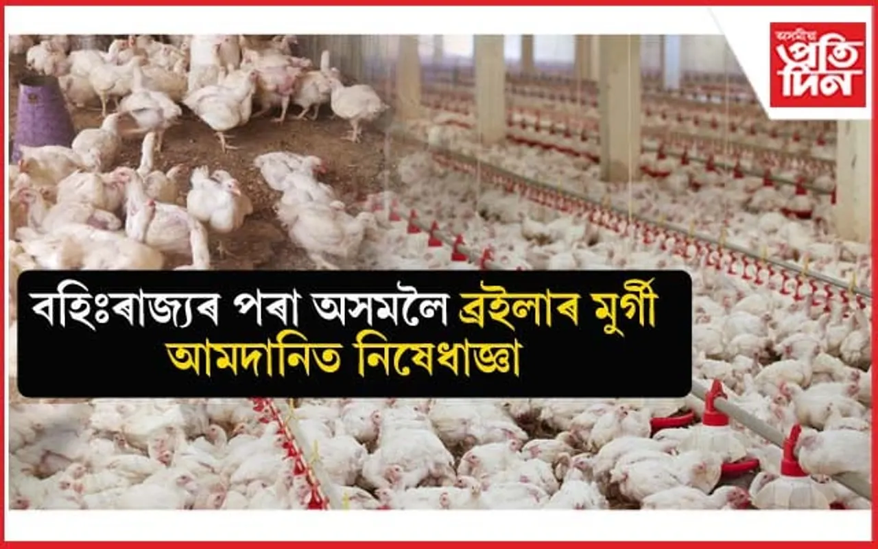 বৃদ্ধি পাব ব্ৰইলাৰ মাংসৰ দাম ! বহিঃৰাজ্যৰ পৰা আমদানি কৰাত নিষেধাজ্ঞা...