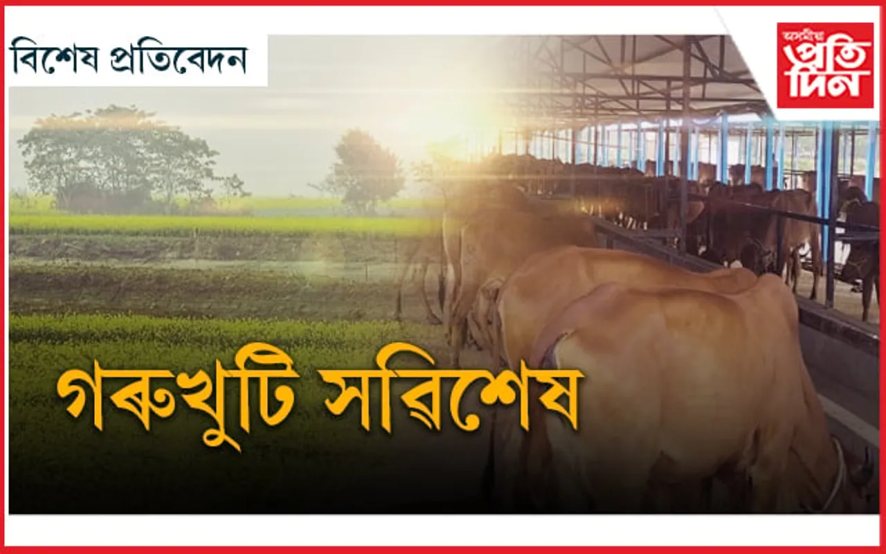 গৰুখুটি প্ৰকল্পত এতিয়ালৈকে স্থায়ী কি কি হৈছে? 