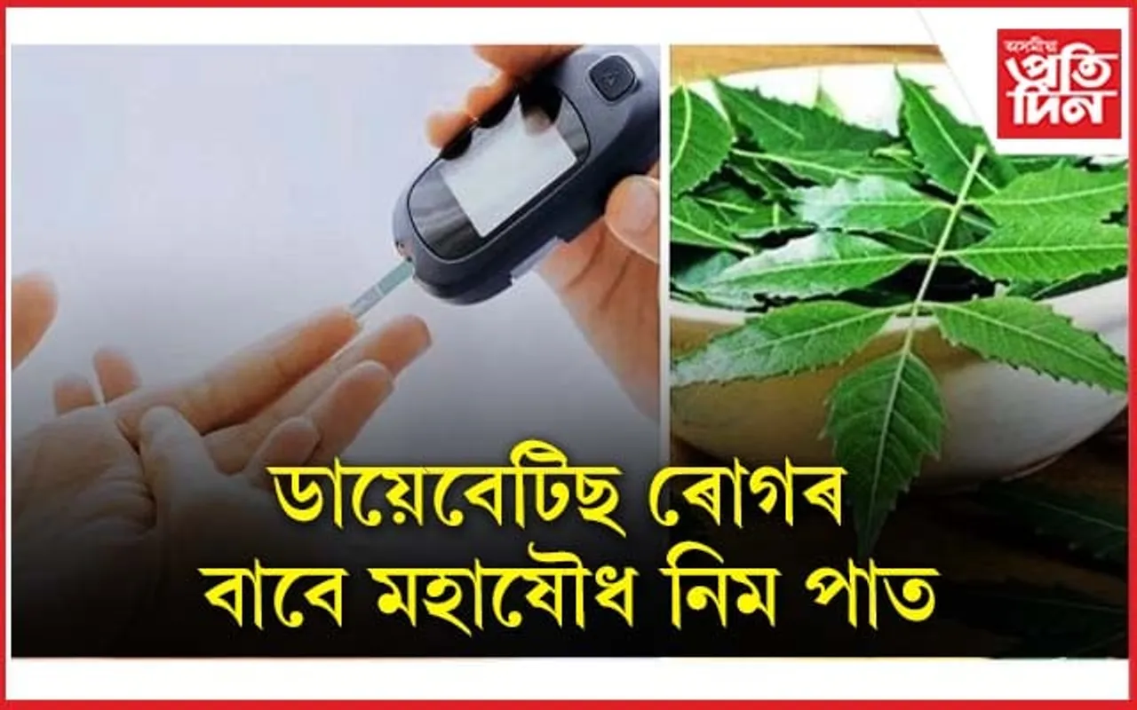 কেতিয়া, কিদৰে নিম পাত খাব লাগে জানি লওক