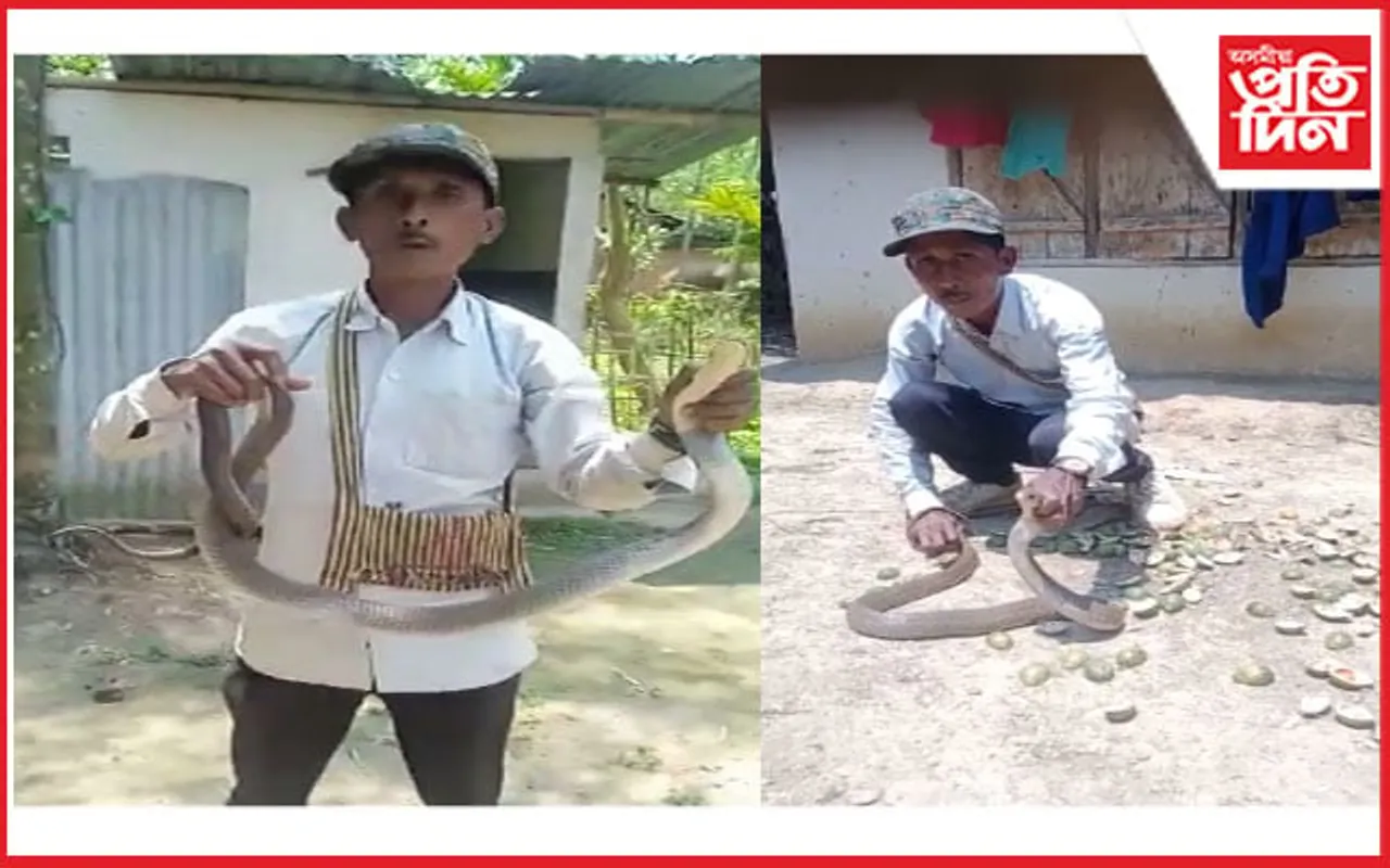 চাপানালাত দুডালকৈ চকৰি ফেঁটী সাপ উদ্ধাৰ...