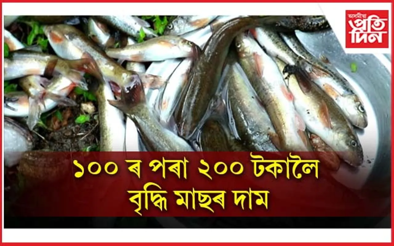 পুনৰ জনতাৰ ওপৰত মাধমাৰ! বৃদ্ধি পালে থলুৱা মাছৰ দাম