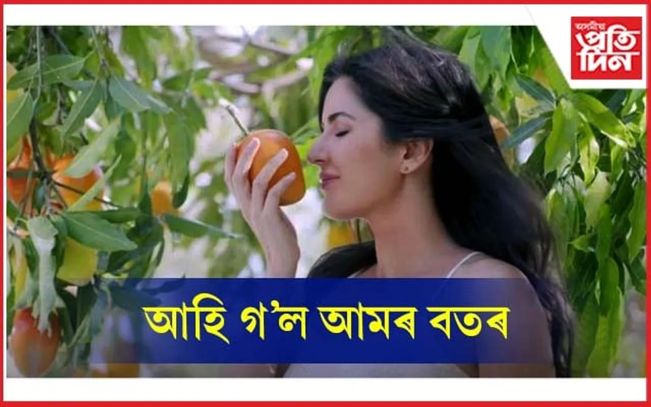 পুষ্টিৰে ভৰপুৰ আম খাই গৰমত স্বাস্থ্যৱান হৈ থাকক