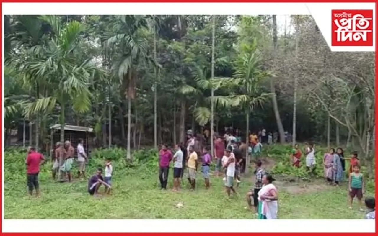 মুছলপুৰত বন গৰুৰ সন্ত্ৰাস