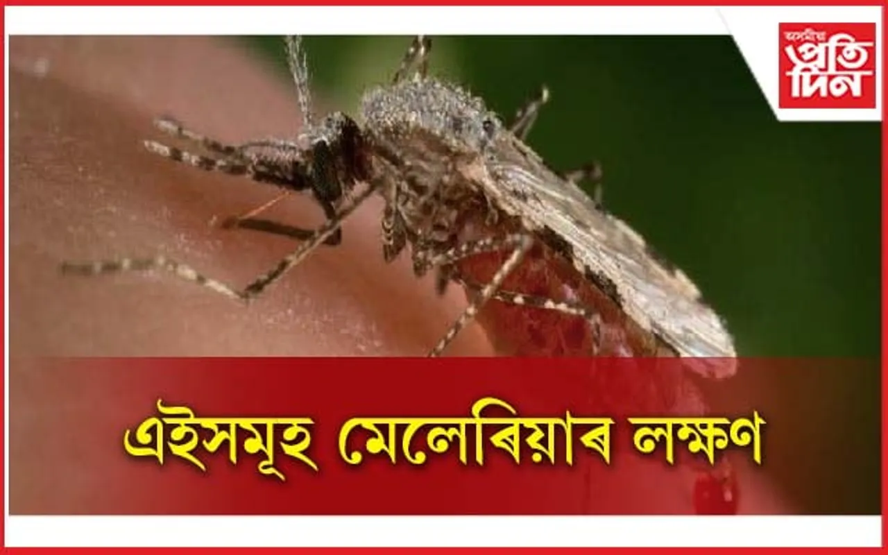 লক্ষণ দেখা পালে সতৰ্ক হওক, খাওঁক এইসমূহ খাদ্য