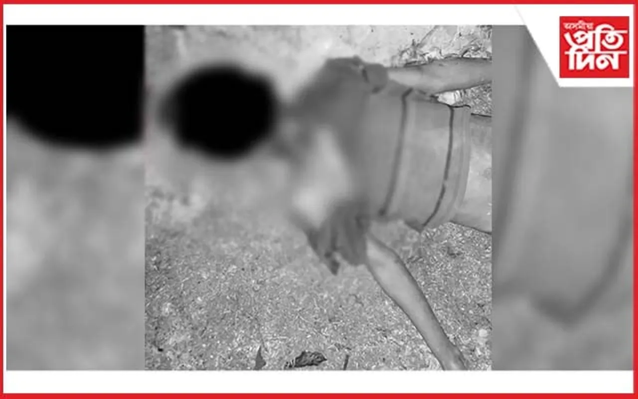 নামৰূপত বাঘৰ সন্ত্ৰাস : প্ৰাণ হেৰুৱালে সাত বছৰীয়া শিশুয়ে...