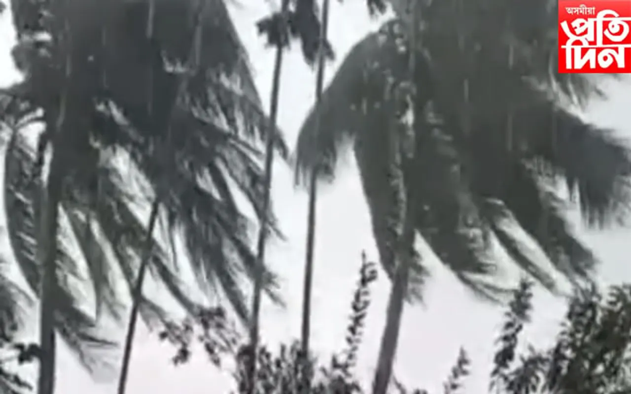 ধুমুহা: গোলাঘাটৰ মৰঙিত বিস্তৰ ক্ষতি...