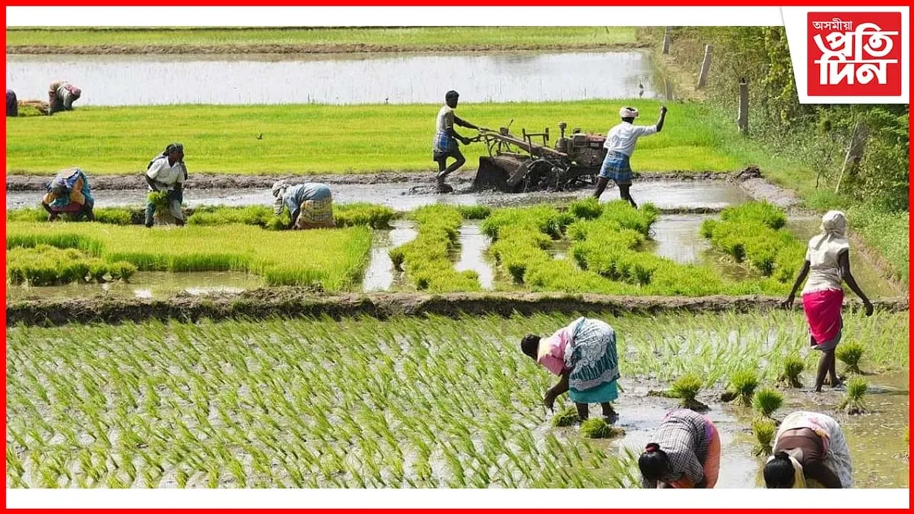 ভাল খবৰ ! প্ৰতিগৰাকী কৃষকে বছৰি পাব ৬,০০০ টকা