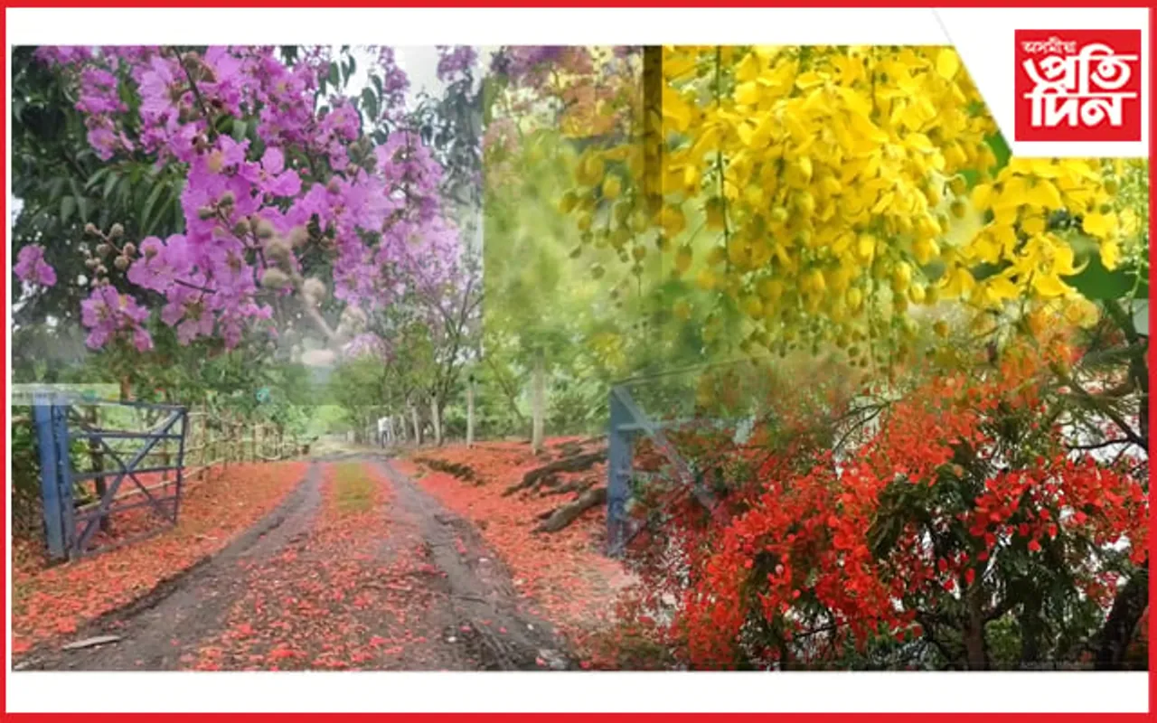 কাজিৰঙাত প্ৰকৃতিৰ দলিচা...
