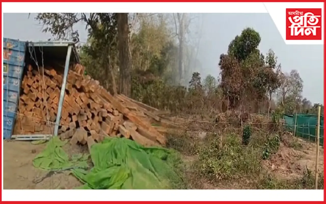 গোলাঘাটৰ বন্যপ্ৰাণী অভয়াৰণ্যত চোৰাং চিকাৰী : নীৰৱ বনবিভাগ...