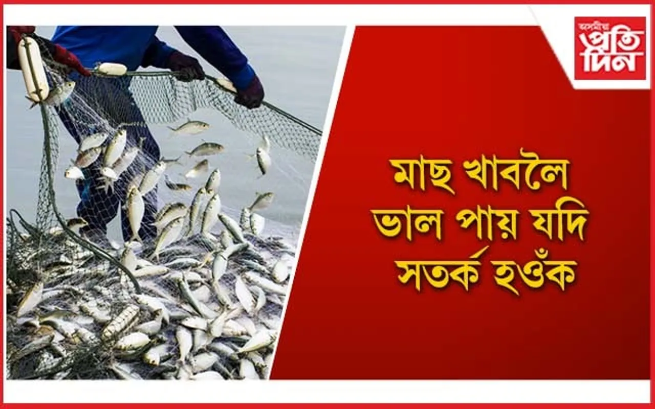 ছালৰ কৰ্কট ৰোগৰ কাৰক মাছ