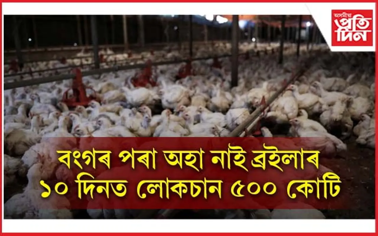 দুমাহে বংগ, বিহাৰৰ পৰা অহা নাই ব্ৰইলাৰঃ অস্বাভাৱিক হাৰত বৃদ্ধি পাইছে মূল্য...