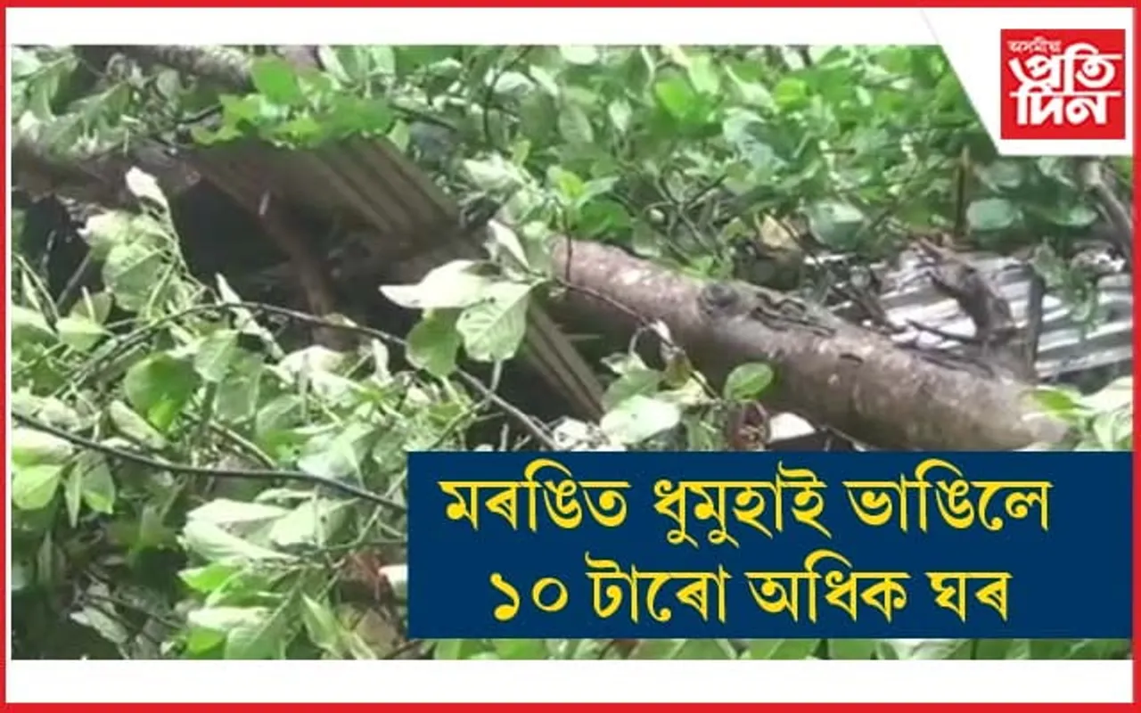 গোলাঘাটৰ মৰঙিত প্ৰৱল ধুমুহাই তচনচ কৰিলে বহু পৰিয়ালৰ বাসগৃহ...