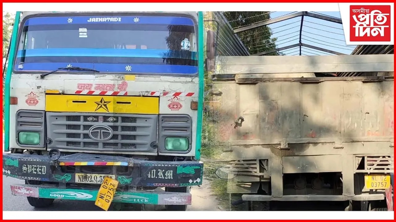 ধেমাজিত ২৫ গো-ধন সৰবৰাহৰ চেষ্টা; ট্ৰাকতে মৃত্যু ৮ গো-ধনৰ...