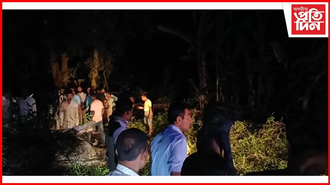 কাজিৰঙাৰ ৰাষ্ট্ৰীয় ঘাইপথত বাগৰিল গছ; ঘাইপথতে আৱদ্ধ শ-শ যাত্ৰী...
