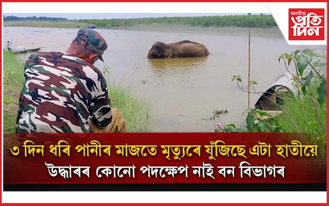৩ দিনে পানীৰ মাজত আৱদ্ধ এটা হাতীঃ দৰ্শকৰ ৰূপত বন বিভাগ, উদ্ধাৰৰ নাই কোনো পদক্ষেপ...