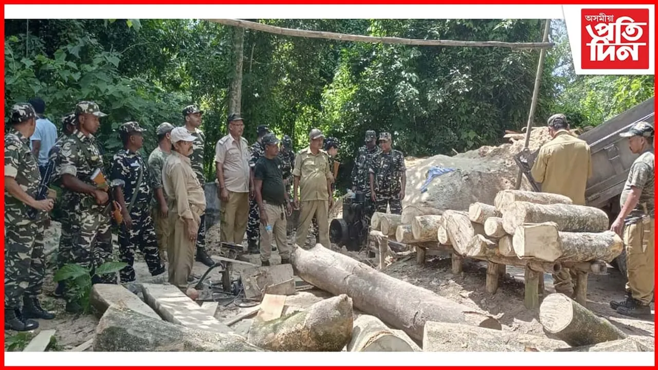 কুমাৰীকাটাত জব্দ অবৈধ কাঠফলা মিল