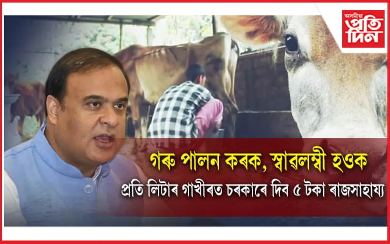 'আমূল'ৰ দৰে অসমৰো হ'ব গাখীৰৰ নিজা ব্ৰেণ্ডঃ গো-পালকে প্ৰতি লিটাৰ গাখীৰত চৰকাৰৰ পৰা পাব সাহায্য... 