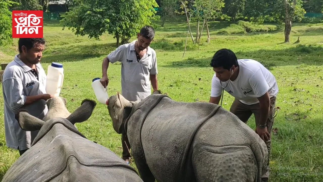কাজিৰঙাৰ এটা কেন্দ্ৰৰ বাবে প্ৰাণ লাভ কৰিছে বহু বন্যপ্ৰাণীয়ে...