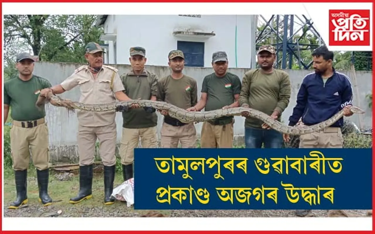 ভাৰত ভূটান সীমান্তত প্ৰকাণ্ড অজগৰ উদ্ধাৰ...