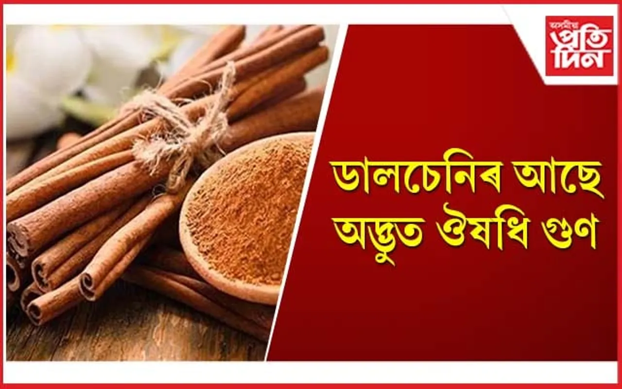গাঁঠি, পেটৰ বিষৰ লগতে বহু স্বাস্থ্য সমস্যা নিৰাময় কৰে ডালচেনিয়ে