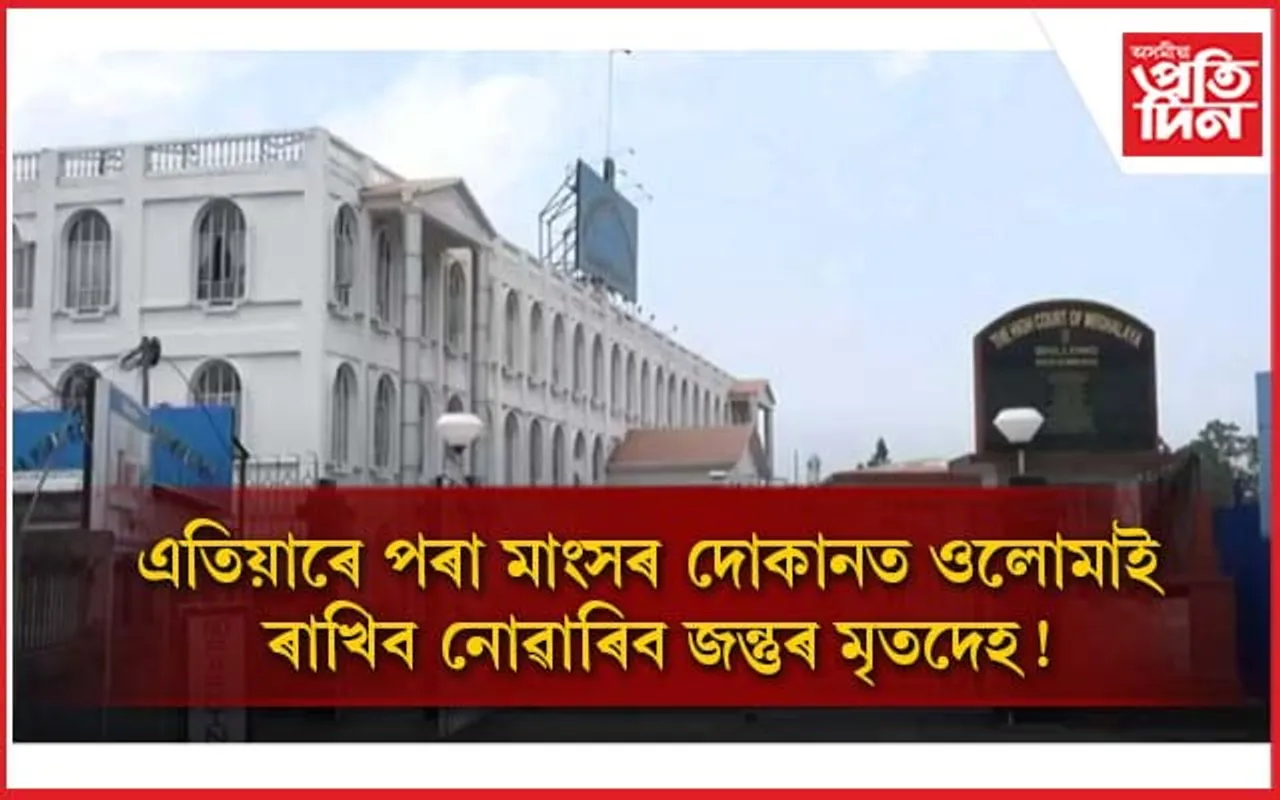 দোকানত জন্তুৰ মৃতদেহ ওলোমাই ৰখাত নিষেধাজ্ঞা আৰোপ কৰক মেঘালয় চৰকাৰেঃ উচ্চ ন্যয়ালয়