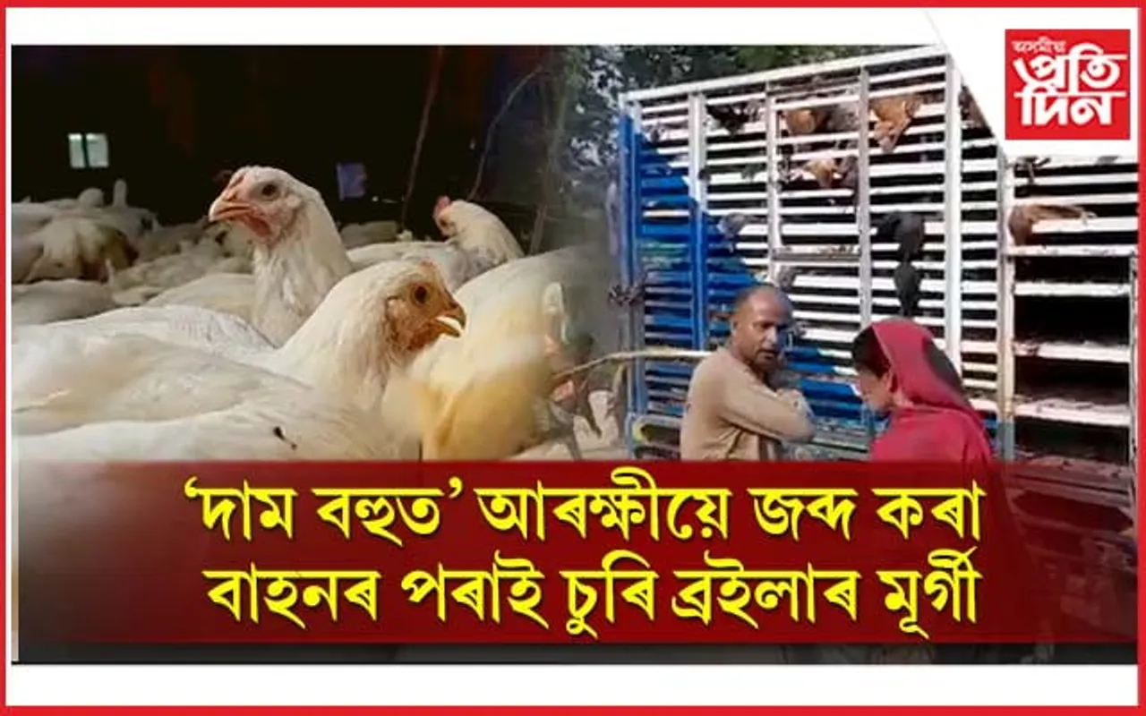 দাম বহুত ! আৰক্ষীয়ে জব্দ কৰা বাহনৰ পৰাই চুৰি ব্ৰইলাৰ মূৰ্গী...