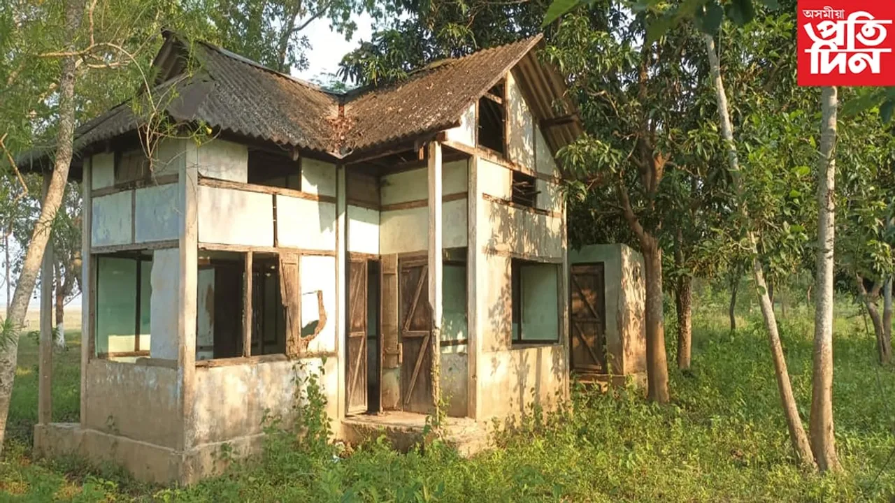 চৰকাৰী বিষয়াৰ উদাসীনতাত তুলসীমুখ মুগা গো-চৰণীয়া পামৰ মৃত্যু ঘণ্টা, অবৈধ বেদখল 