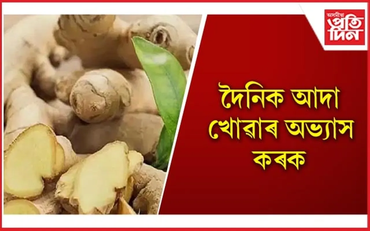 বহু গুৰতৰ ৰোগৰ ঔষধ আদা