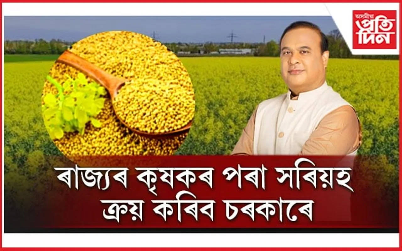 নূন্যতম সমৰ্থন মূল্যৰে কৃষকৰ পৰা সৰিয়হ ক্ৰয় কৰিব অসম চৰকাৰে...