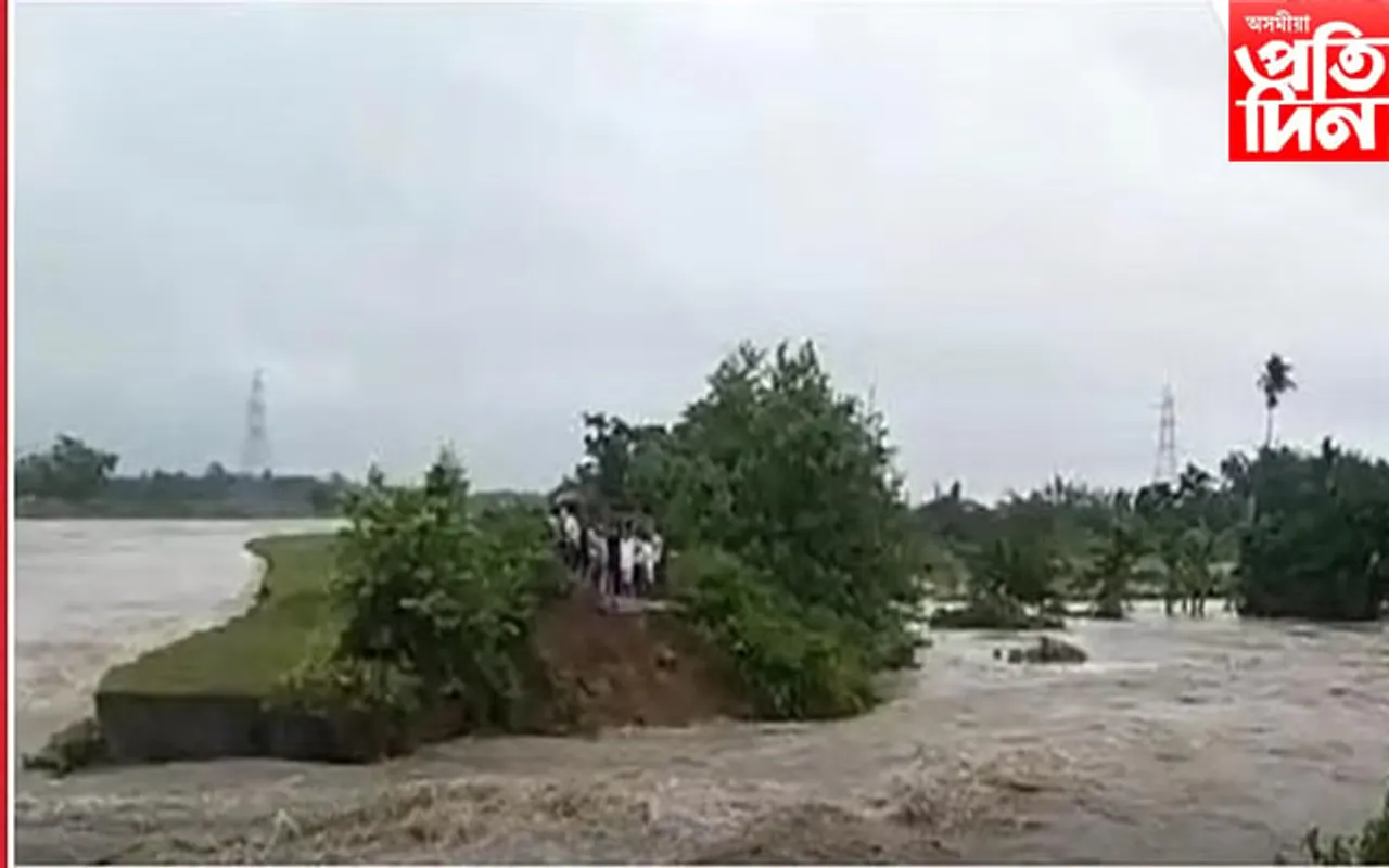 ৰাজ্যত বানৰ  সংহাৰঃ ২১,০০০ লোক প্ৰভাৱিত
