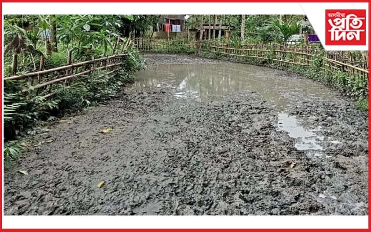 ঘিলামৰাৰ পথাৰ সদৃশ এটা পথে সকলোকে খুৱাইছে জ্বলা-কলা...