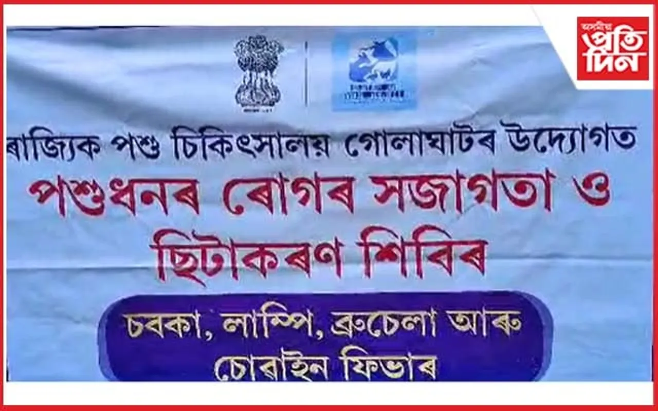 ৰাজ্যৰ প্ৰান্তে প্ৰান্তে গো-ধনৰ দেহত লাম্পি ৰোগ: গোলাঘাটত বিনামূলীয়া টিকাকৰণ...