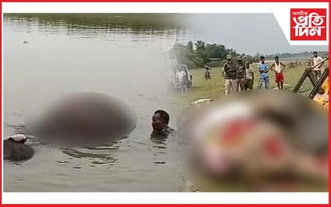 দুসপ্তাহ পানীৰ মাজতে আৱদ্ধ থাকি অৱশেষত মৃত্যু হ'ল ঢেকীয়াজুলিৰ হাতীটো...