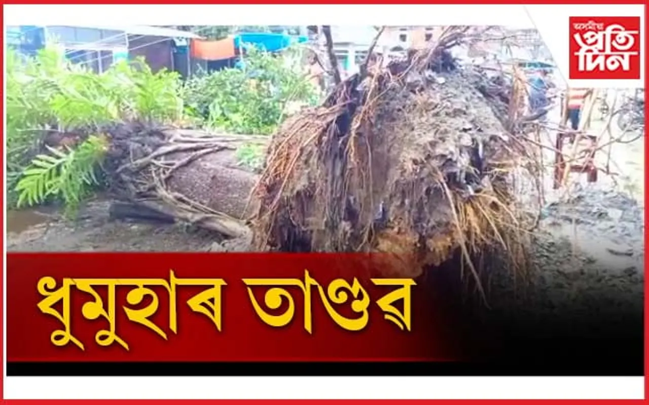 শুই থকা অৱস্থাত বাসগৃহৰ সৈতে হেঁচা মাৰি ধৰিলে প্ৰকাণ্ড গছেঃ এজনৰ মৃত্যু...