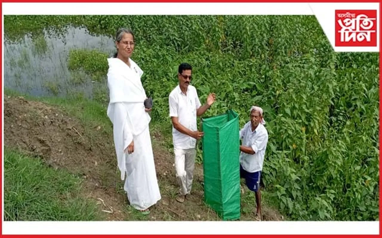 ৰাইডঙীয়া-নগাঁও সংযোগী পথৰ দাঁতিত গছ পুলি ৰোপণ...