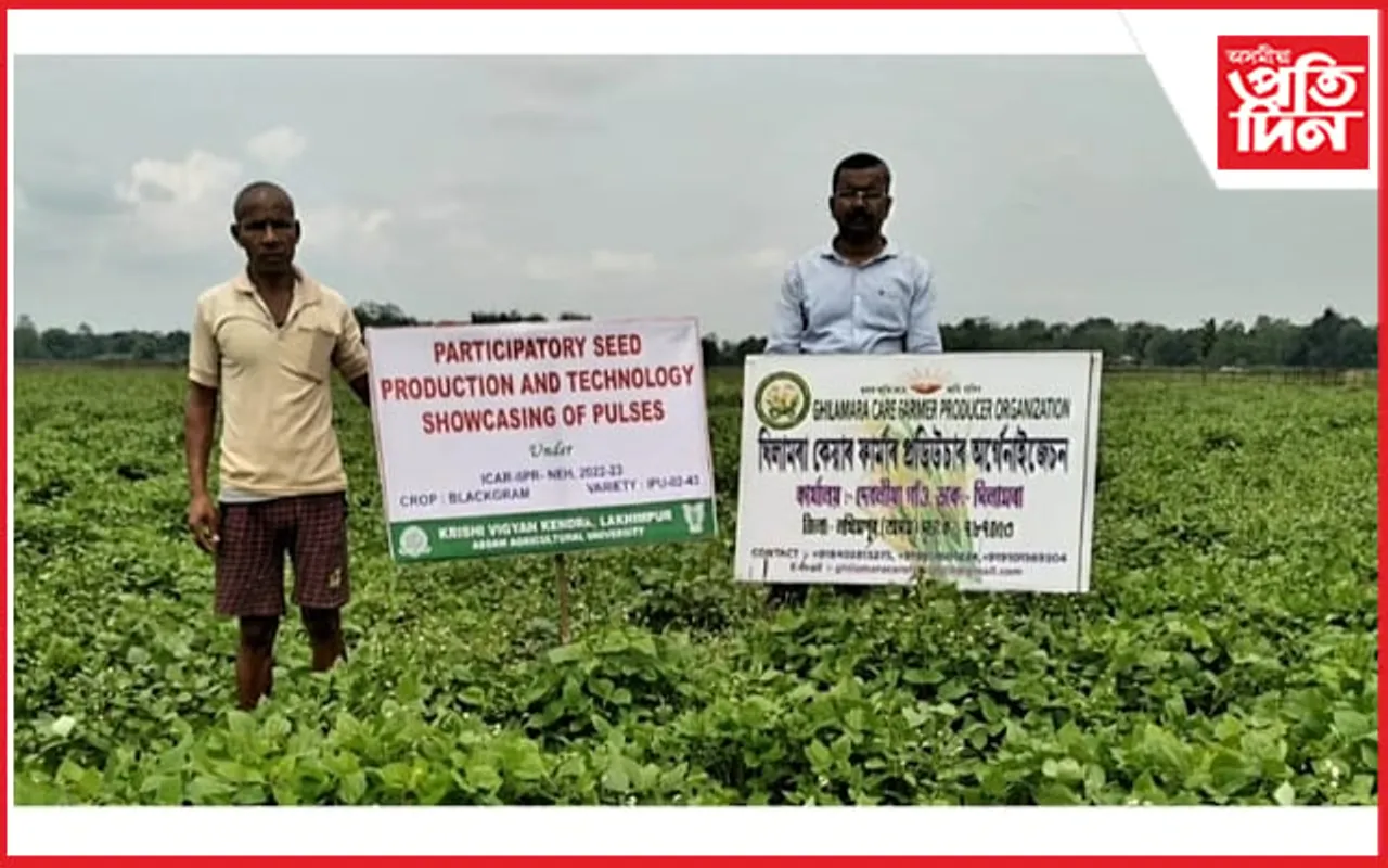 ঘিলামৰাত কৃষি বিভাগৰ ফোঁপোলা স্বৰূপ