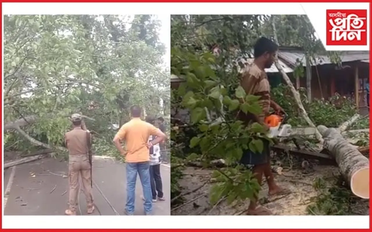 নিমনাগড়ত প্ৰকাণ্ড গছ উভালি ব্যাহত যাতায়ত ব্যৱস্থা 