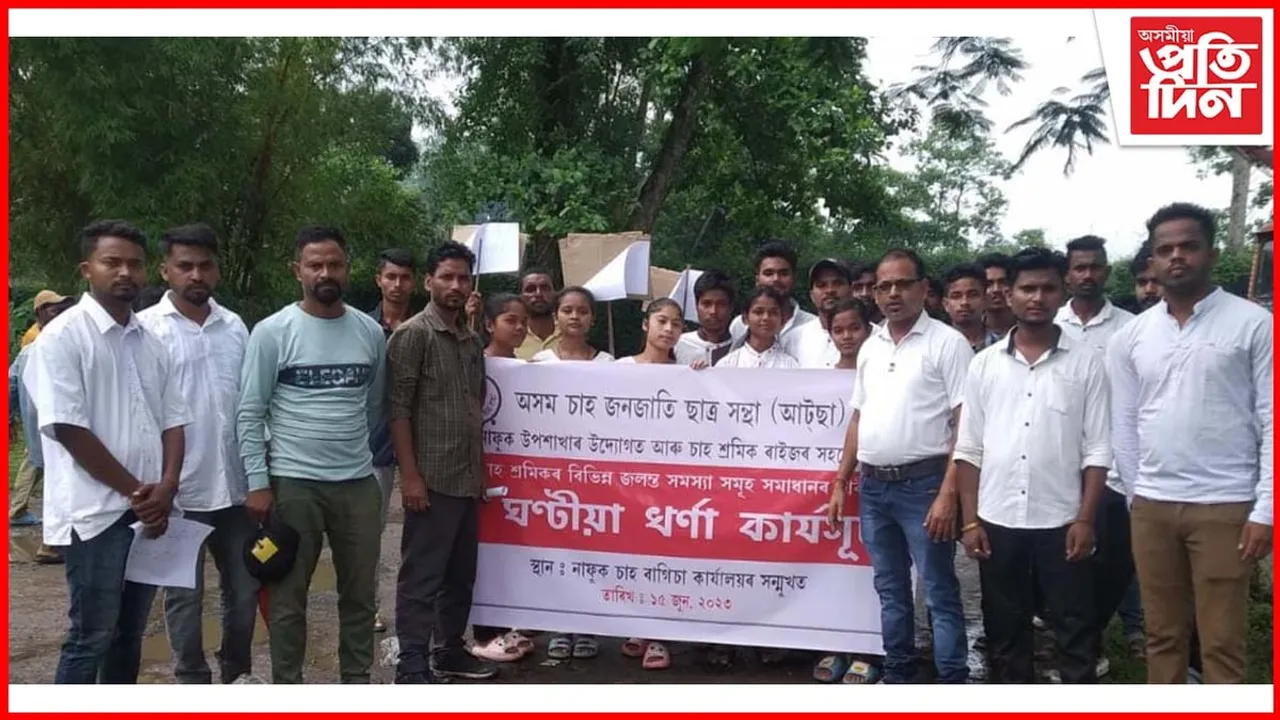 চাহ শ্ৰমিকৰ দীৰ্ঘদিনীয়া সমস্যা সমাধানৰ দাবীৰে উত্তাল নাফুক চাহ বাগিচা...