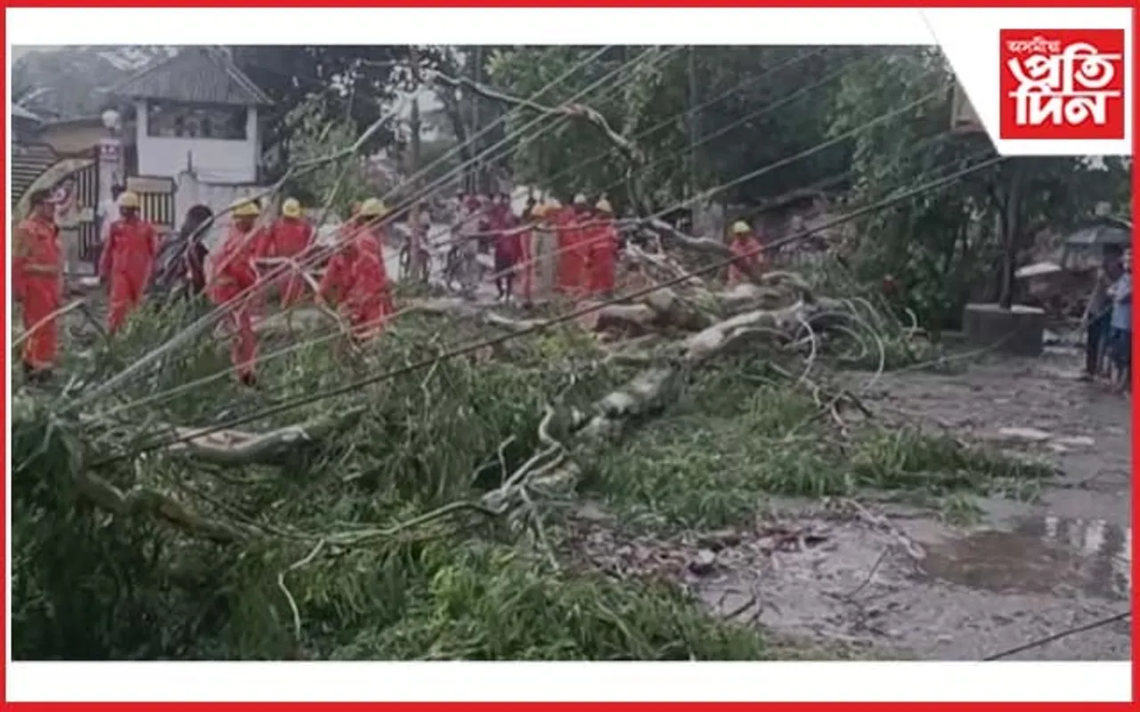 প্ৰচণ্ড ধুমুহাত গছ পৰি থিতাতে নিহত এজন...  