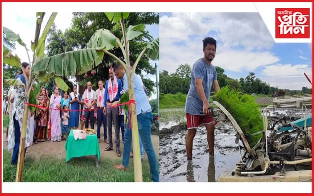 মৰিগাঁৱত ট্ৰানছপ্লেণ্টাৰৰ সহায়ত কঠীয়া ৰোপণ...