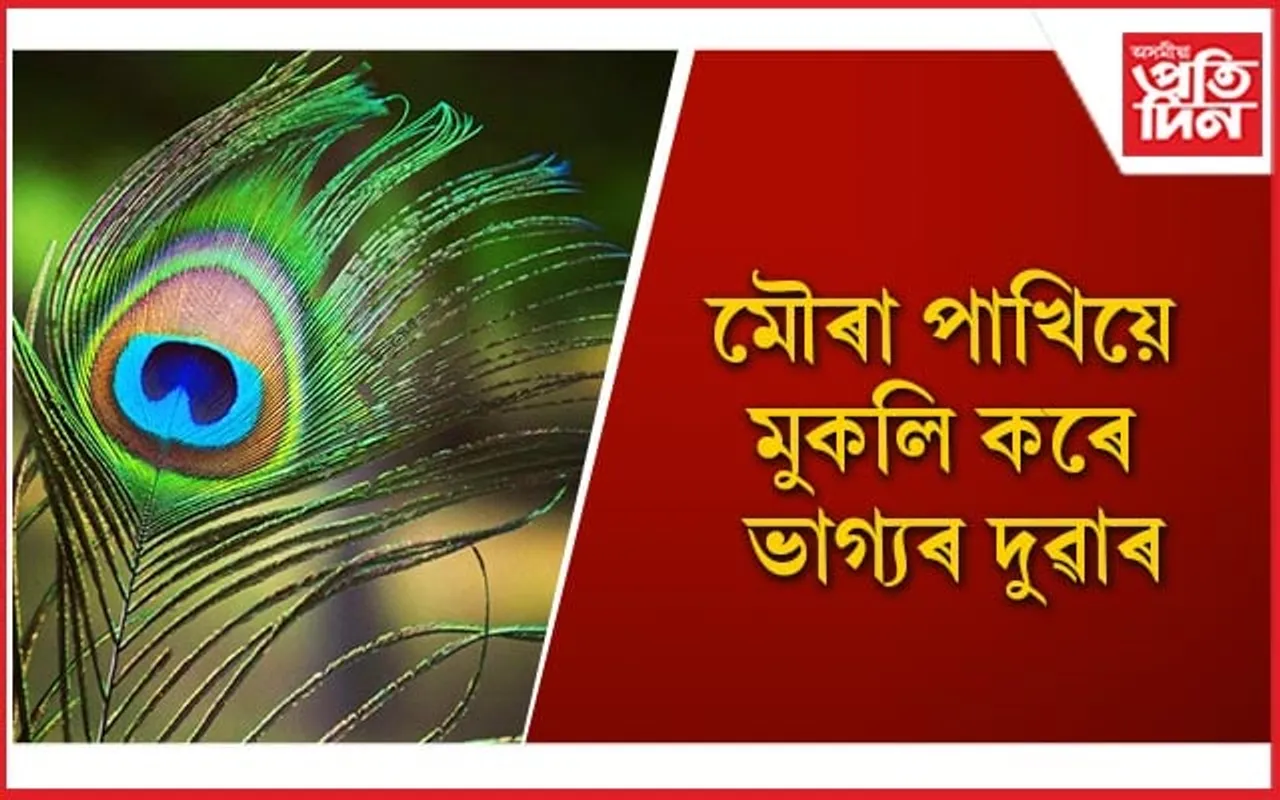 সুখ-শান্তি অটুট ৰখাৰ বাবে আজিয়েই ঘৰলৈ আনক মৌৰা পাখি