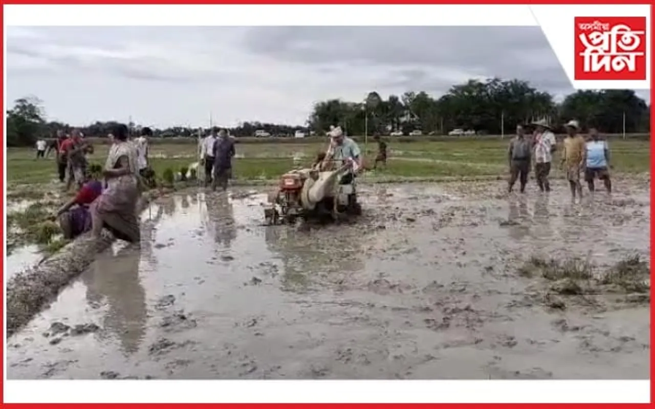শাওনৰ হাউৰী অনুষ্ঠানত হালোৱা ৰূপত  বিধায়ক ধৰ্ম্মেশ্বৰ কোঁৱৰ