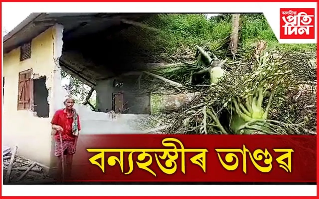 ভগ্ন গৃহৰ কাষত বৃদ্ধৰ উচুপনিঃ নিশাৰ ভিতৰতে শেষ হৈ গ'ল সকলো...