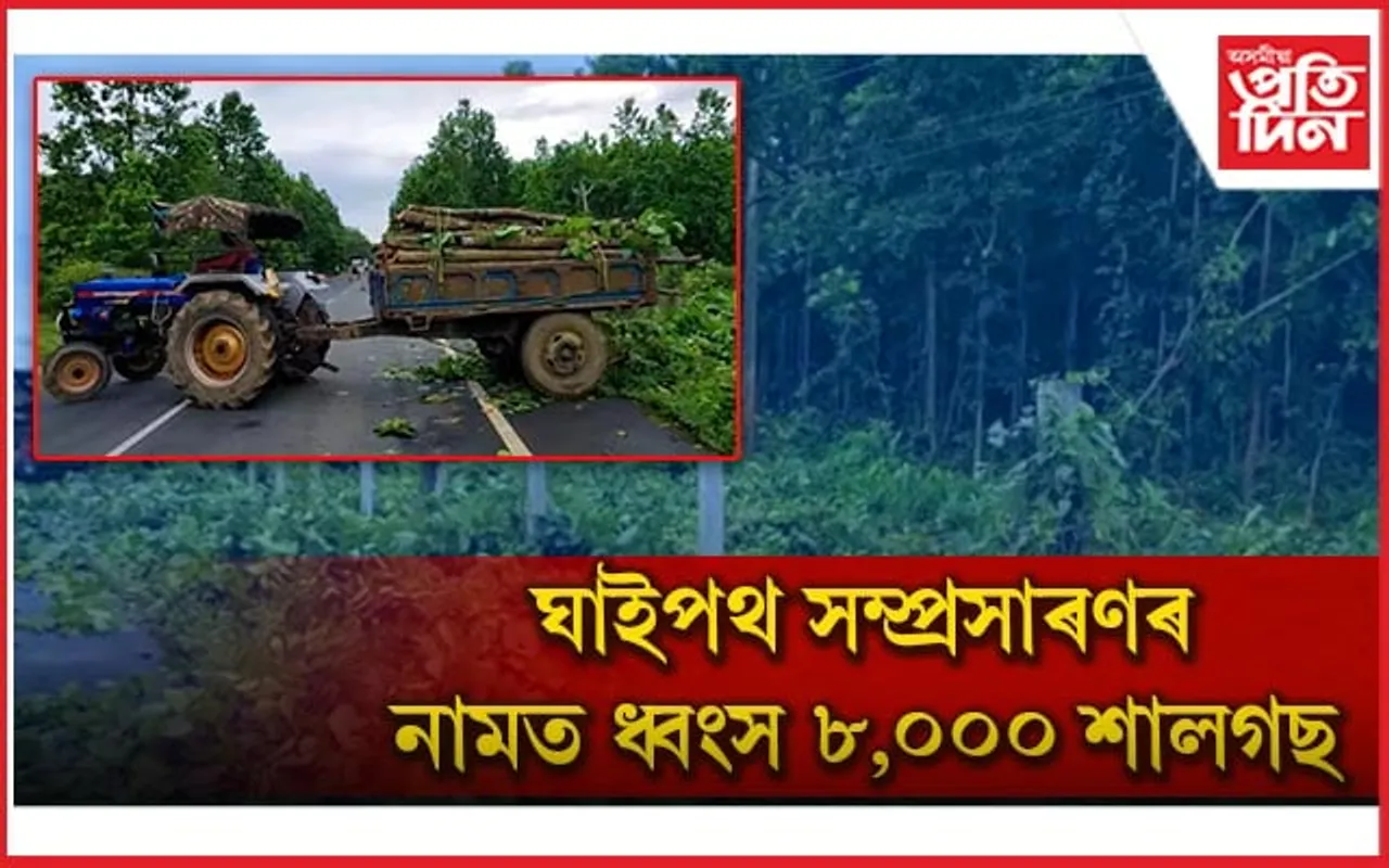 উন্নয়নৰ নামত ধ্বংস হাজাৰ-হাজাৰ শালগছ...