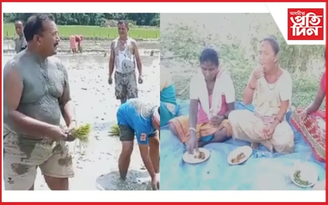 মুছলপুৰত হাল উঠা পৰ্ব : লগে-ভাগে এসাঁজ খালে বি টি চিৰ কাৰ্যবাহী সদস্য ঘনশ্যাম দাসে