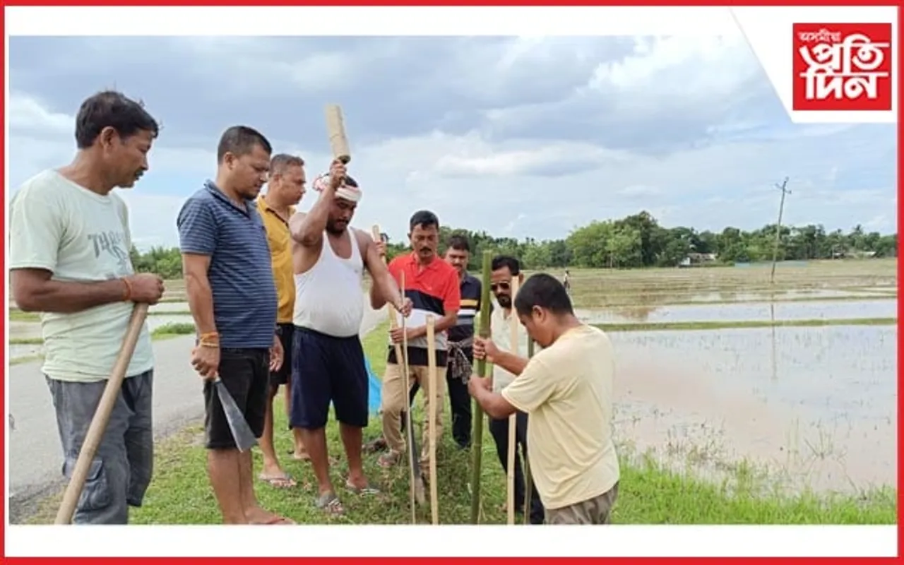 সপ্তাহত ১০০ গছ পুলি ৰোপণ কৰিব স্বেচ্ছাসেৱী অনুষ্ঠান কৃষ্ণচূড়াই 