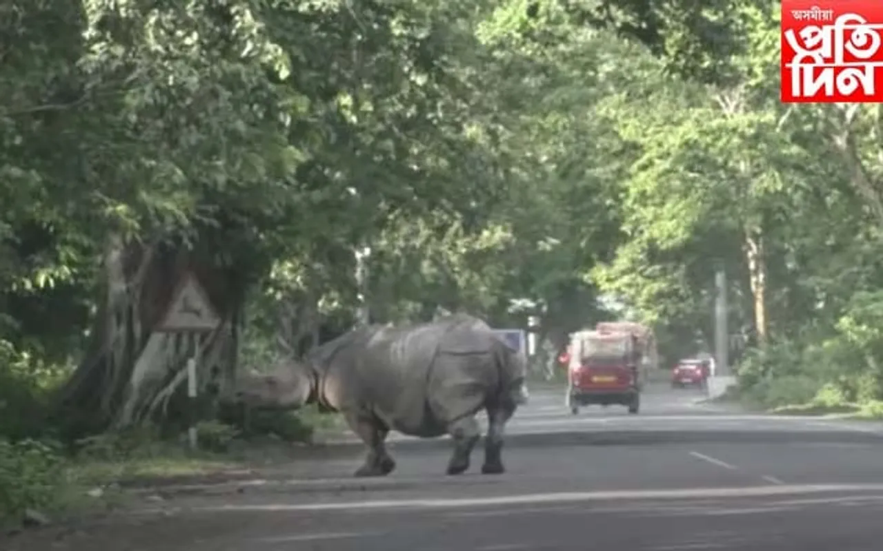 কাজিৰঙালৈ যোৱাৰ পূৰ্বে পঢ়ক এই খবৰ, অন্যথা যাব লাগিব পাৰে জেললৈ...