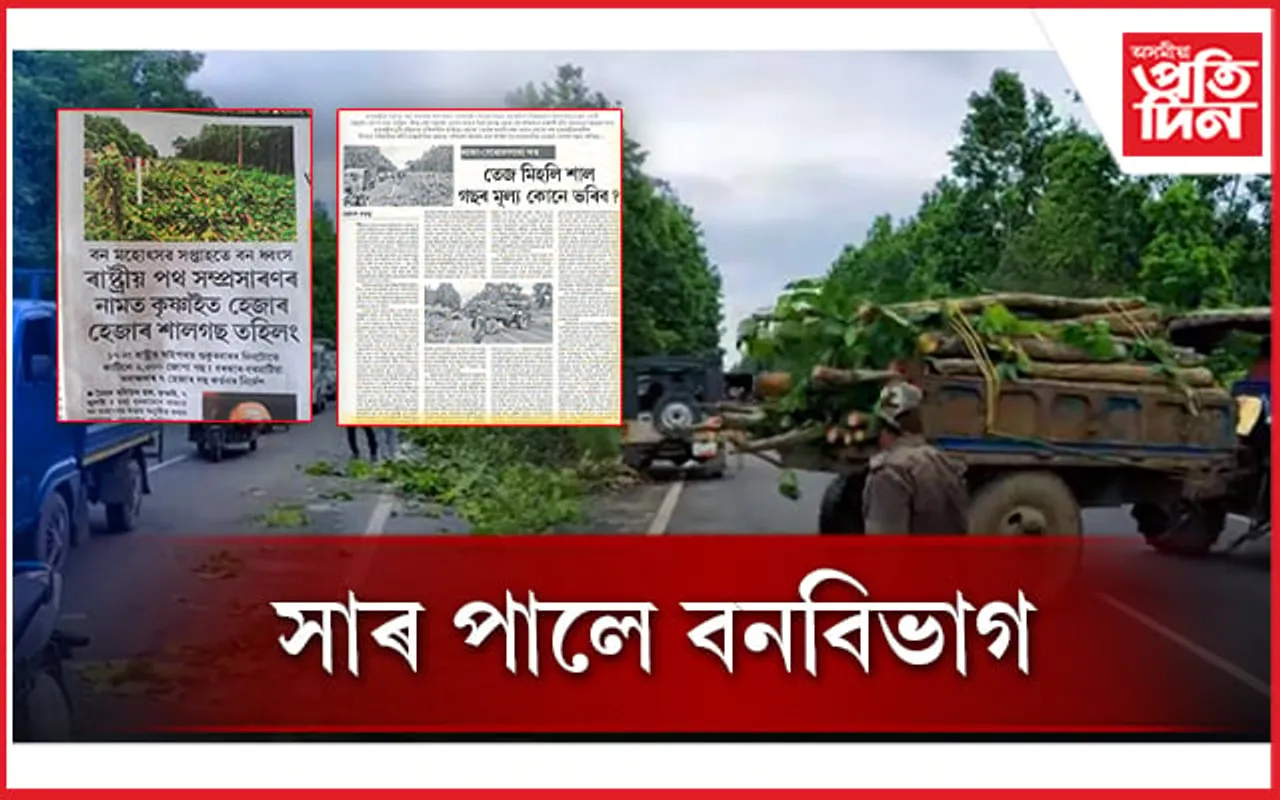অসমীয়া প্ৰতিদিনৰ বাতৰি আৰু প্ৰবন্ধৰ প্ৰভাৱঃ বন্ধ হ’ল কৃষ্ণাইত শালগছ ধ্বংসযজ্ঞ...