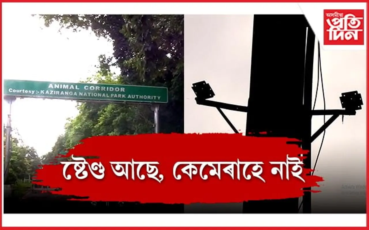 শিকলি কিনি হাতী কিনিব নোৱৰা অৱস্থাঃ কাজিৰঙাৰ কাঞ্চনজুৰিত নিষ্ক্ৰিয় কেমেৰা